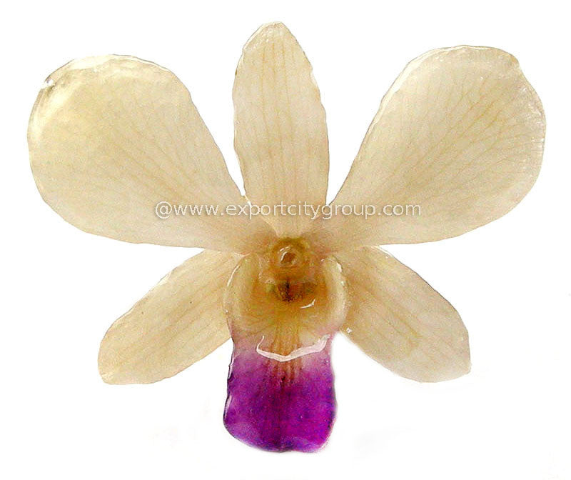 Lucy "Dendrobium" Orchid Pendant (White)