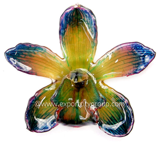 Cymbidium (2) Orchid Jewelry Pendant (10 Pieces)