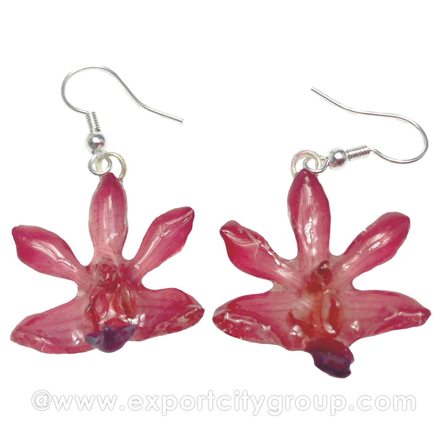 Doritis "Phalaenopsis" Orchid Jewelry Earring (Red)