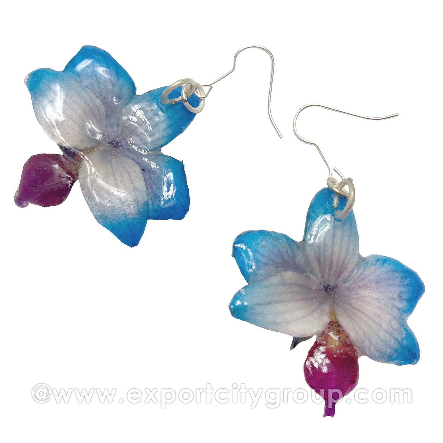 Doritis MEDIUM "Phalaenopsis" Orchid Jewelry Earring (Blue)