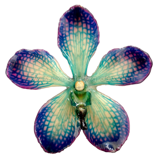 Mokara Orchid Jewelry Pendant (10 Pieces)