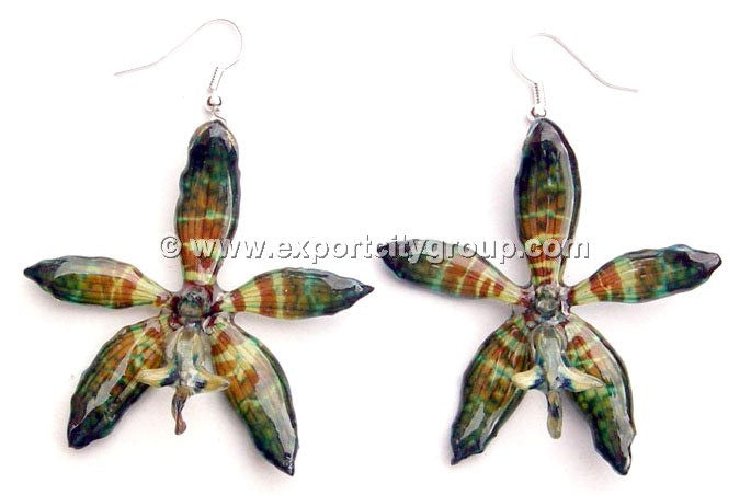 Staurochilus Fasciatus Bengal Tiger Orchid Jewelry Earring (Dark Green)