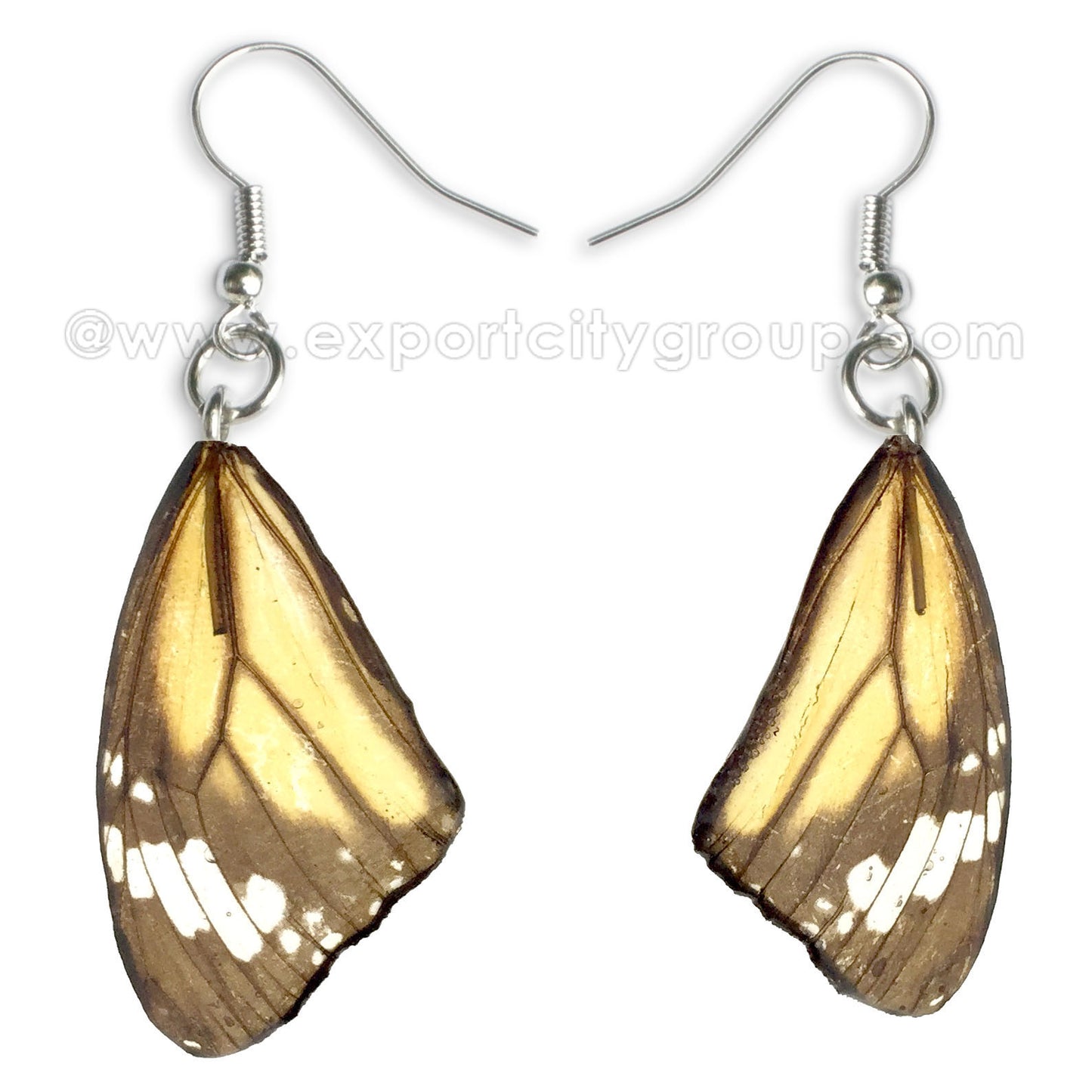 Real Butterfly Wings Jewelry Earring - Monarch natural