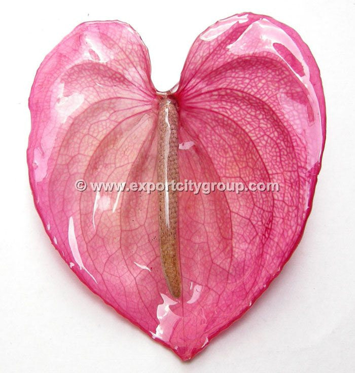 Anthurium Flower Jewelry 2-in-1 pendant/brooch (10 pieces)