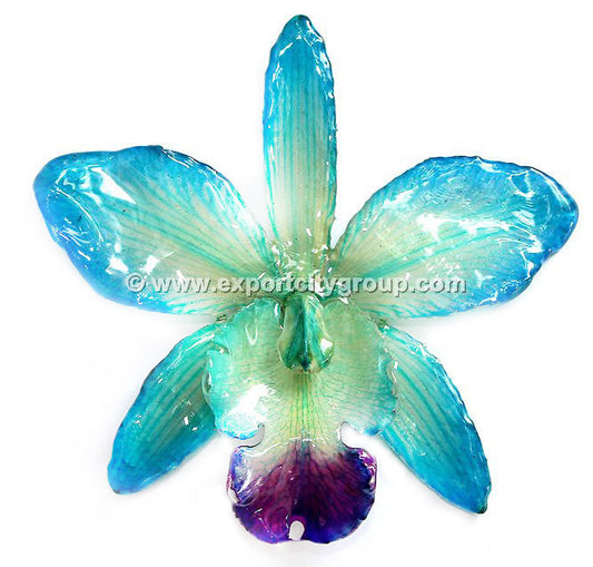 Cattleya QUEEN Medium Orchid Jewelry Pendant (10 pieces)