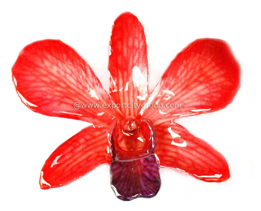 Lucy "Dendrobium" Orchid Pendant (10 Pieces)