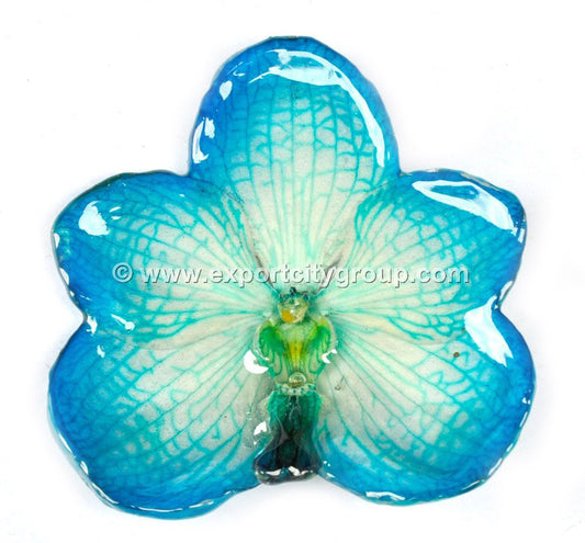 Vanda Orchid Jewelry Pendant (Blue)