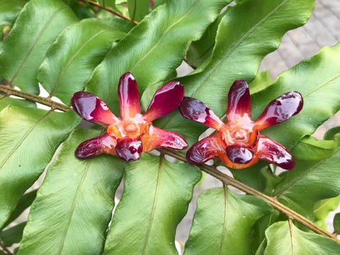 CTO (custom order) Mini "Dendrobium" Lucy Orchid Earring (Orange/Purple)