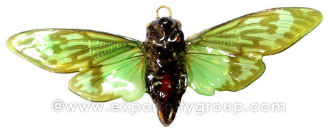 Real Butterfly Jewelry Pendant (BTF-002)