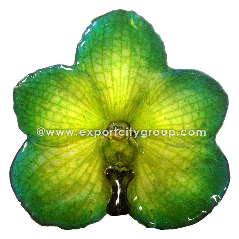 Vanda Orchid Jewelry Pendant (Green Yellow)