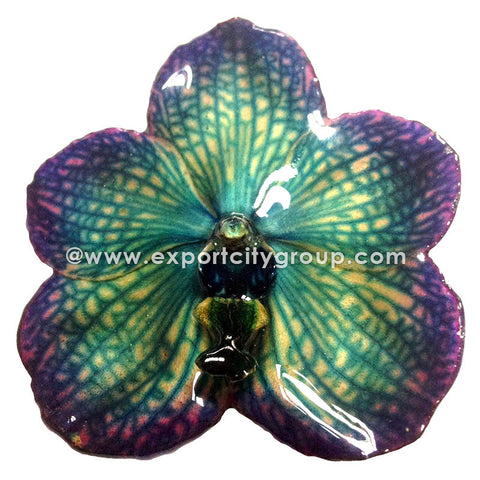 Vanda Orchid Jewelry Pendant (Purple Blue)