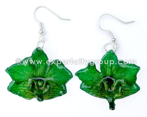 Doritis "Phalaenopsis" Orchid Jewelry Earring (Green)