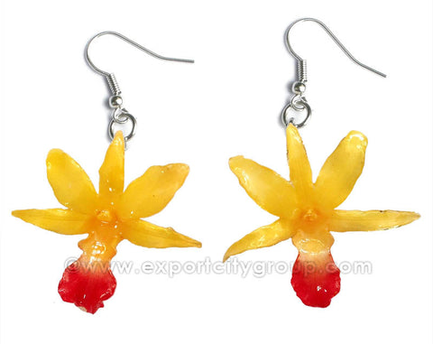 Draconis "Dendrobium" Orchid Earring (Yellow)