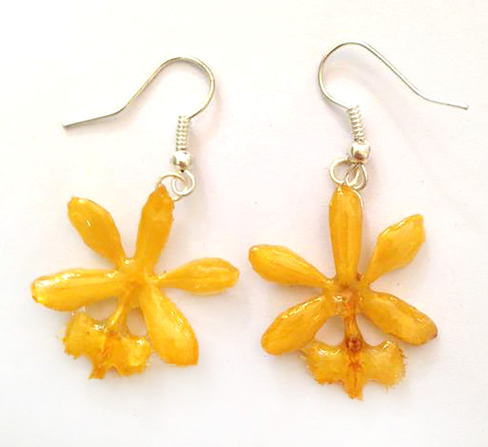 Epidendrum Orchid Jewelry Earring (Yellow)