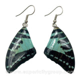 Real Butterfly Wings Jewelry Earring - Graphium (Turquoise)