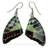 Real Butterfly Wings Jewelry Earring - Graphium (Light Green)