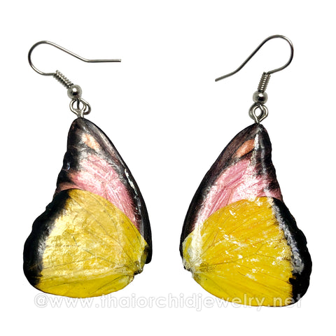 Real Butterfly Wings Jewelry Earring - Duo Butterfly (Yellow Pink)
