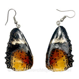 Real Butterfly Wings Jewelry Earring - Duo Lacewing natural