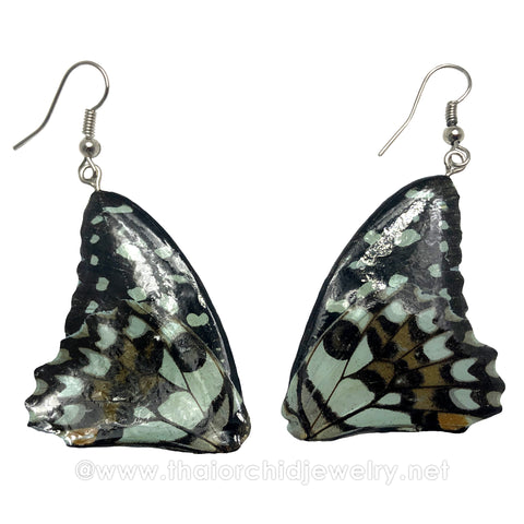 Real Butterfly Wings Jewelry Earring - Duo Butterfly Teal (Blue-green)