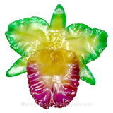 Cattleya Sakura "JUMBO" 5-6 inches Orchid Jewelry Pendant (Green)