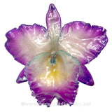 Cattleya Sakura "JUMBO" 5-6 inches Orchid Jewelry Pendant (Purple)