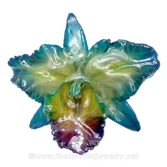 Cattleya Sakura "JUMBO" 5-6 inches Orchid Jewelry Pendant (Dark Blue)