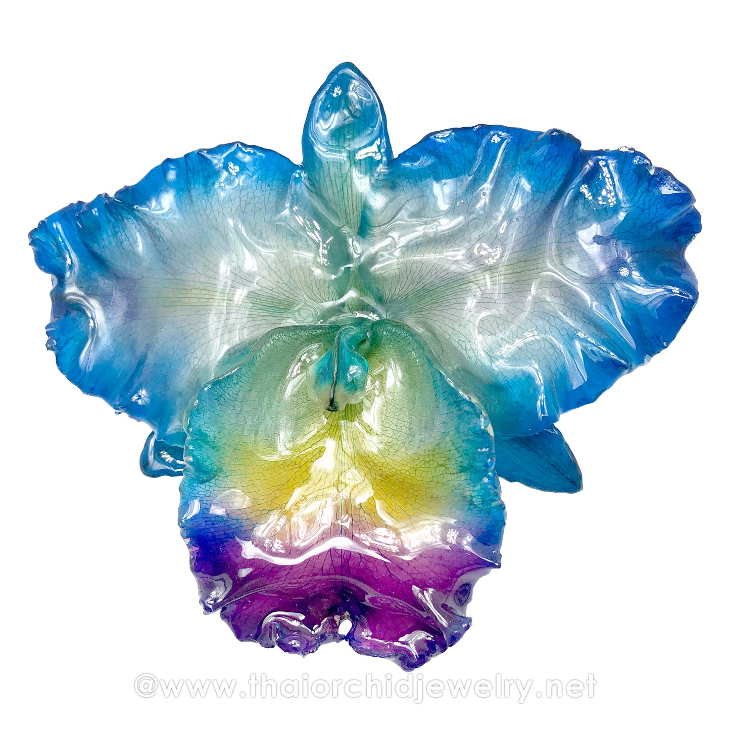 Cattleya Sakura "JUMBO" 5-6 inches Orchid Jewelry Pendant (Blue)