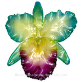 Cattleya Sakura "JUMBO" 5-6 inches Orchid Jewelry Pendant (Green/Blue)