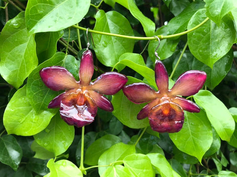 CTO (custom order) Chrysotoxum Dendrobium Orchid Jewelry Earring Purple