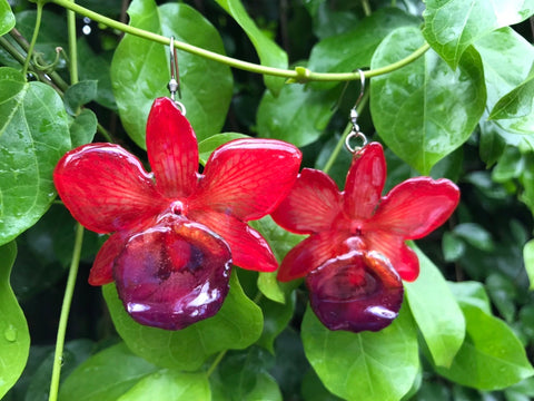 CTO (custom order) Chrysotoxum Dendrobium Orchid Jewelry Earring Red
