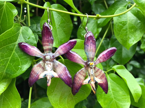CTO (custom order) Staurochilus Fasciatus BENGAL Tiger Orchid Jewelry Earring PURPLE