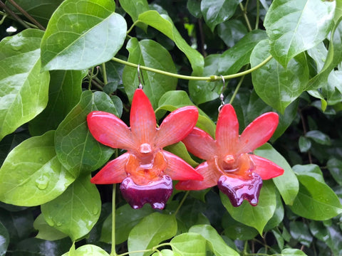 CTO (custom order) Dendrobium FORMOSUM Orchid Earring PINK