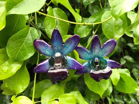 CTO (custom order) Dendrobium FORMOSUM Orchid Earring Purple Turquoise