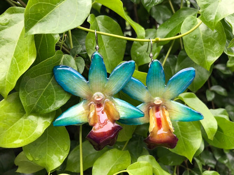 CTO (custom order) Dendrobium FORMOSUM Orchid Earring BLUE 2Tone