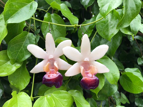 CTO (custom order) Dendrobium FORMOSUM Orchid Earring WHITE