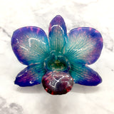 Diamond "Dendrobium" Orchid Jewelry pendant (Turquoise)