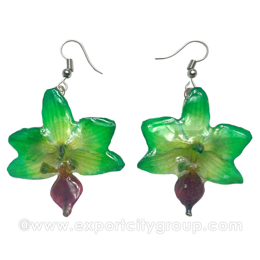 Doritis MEDIUM "Phalaenopsis" Orchid Jewelry Earring (Green)