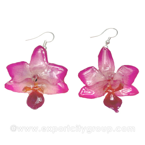Doritis MEDIUM "Phalaenopsis" Orchid Jewelry Earring (Pink)