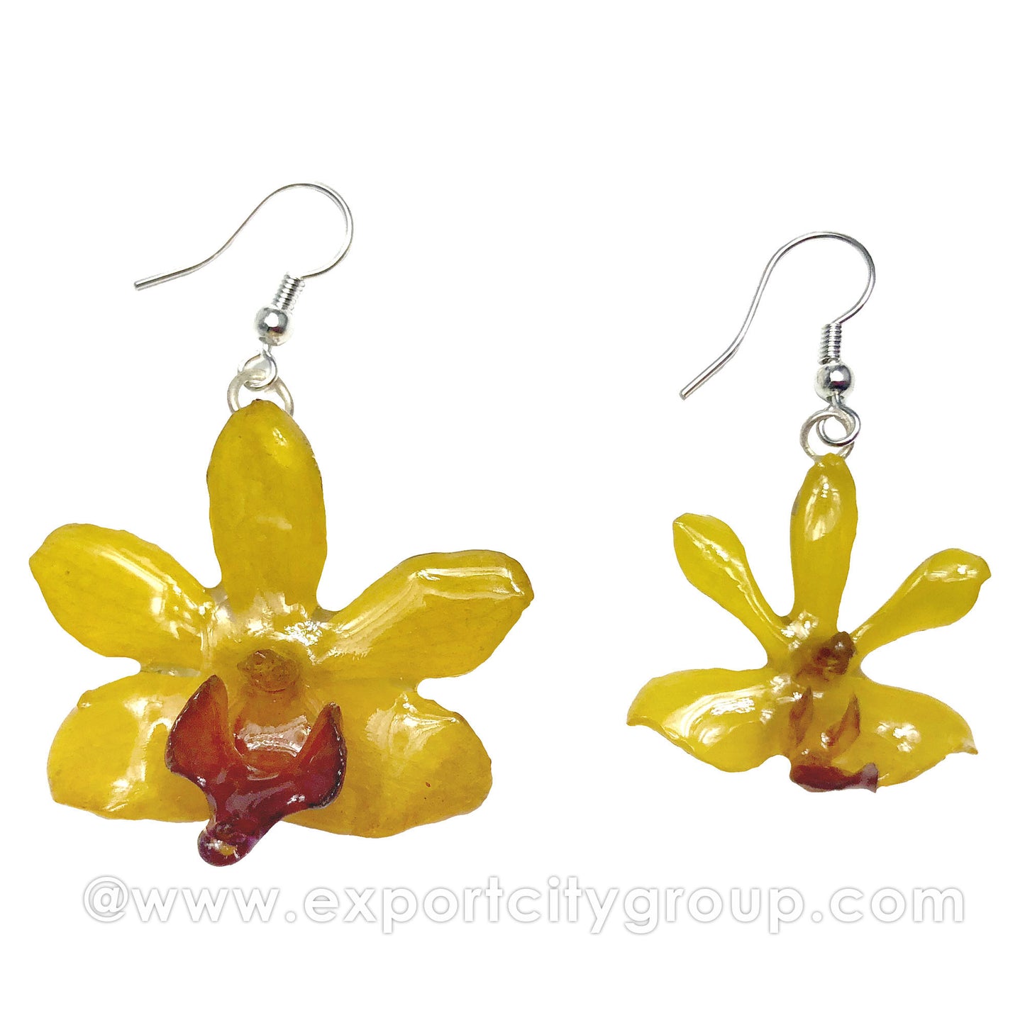 Doritis MEDIUM "Phalaenopsis" Orchid Jewelry Earring (Yellow)