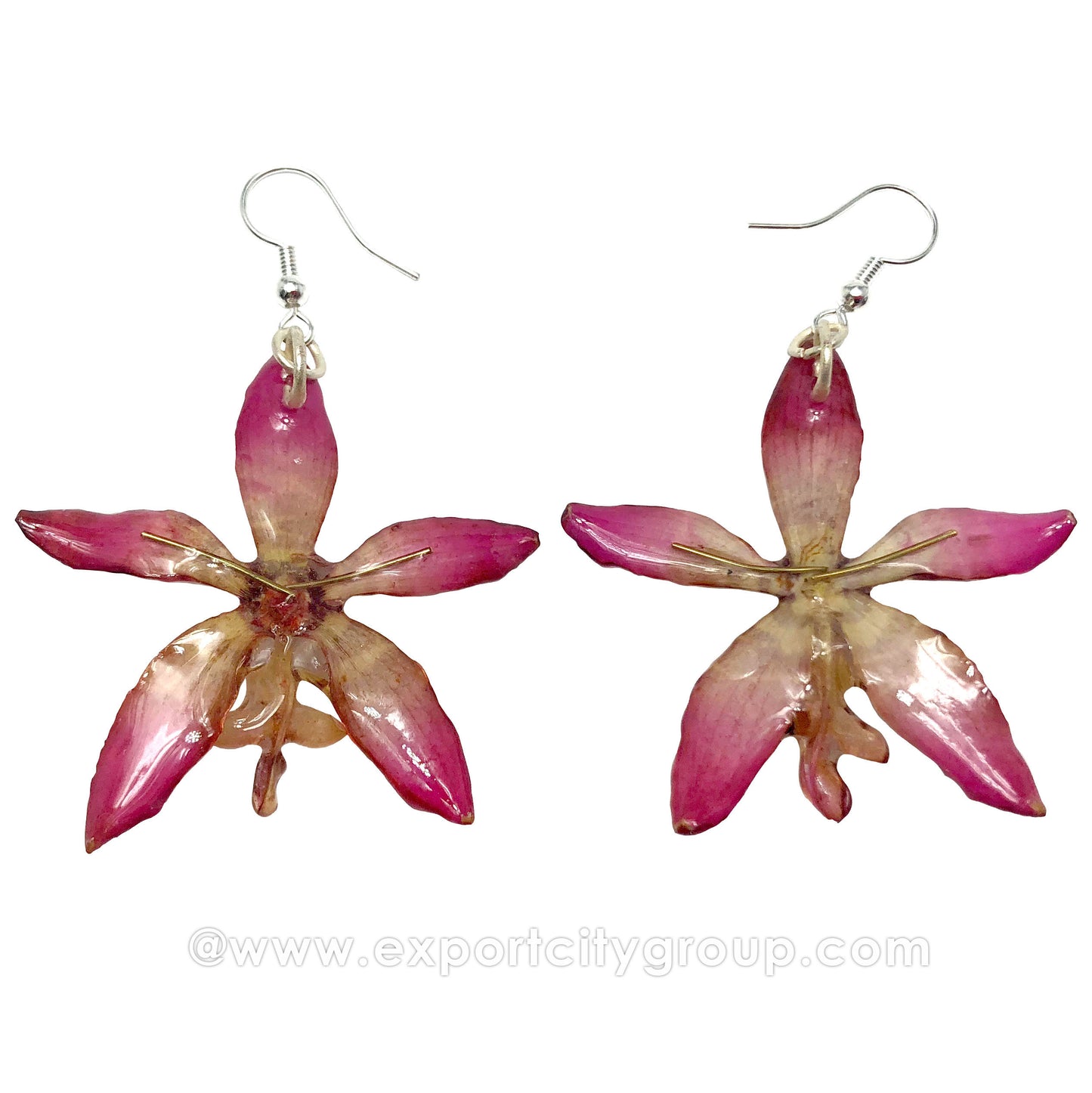 Staurochilus Fasciatus Bengal Tiger Orchid Jewelry Earring (Pink)