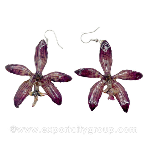 Staurochilus Fasciatus Bengal Tiger Orchid Jewelry Earring (Purple)