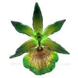 Zygopetalum Real Orchid Jewelry Pendant (Green)