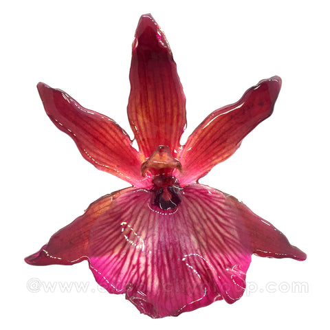 Zygopetalum Real Orchid Jewelry Pendant (Pink)