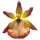 Zygopetalum Real Orchid Jewelry Pendant (Yellow)
