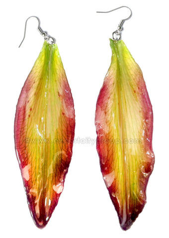 Lily Real Flower Jewelry Earring (Yellow Fuchsia)