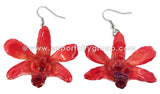 Mini "Dendrobium" Lucy Orchid Earring (Red)