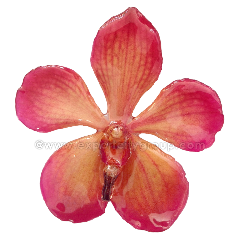 Mokara Orchid Jewelry Pendant (Pink)