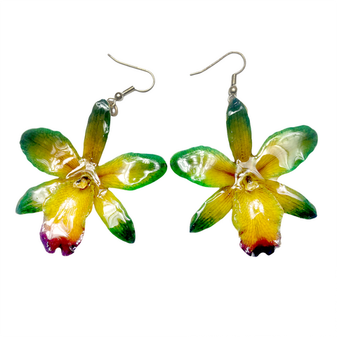 Cattleya Mini Orchid Jewelry Earring (Green)