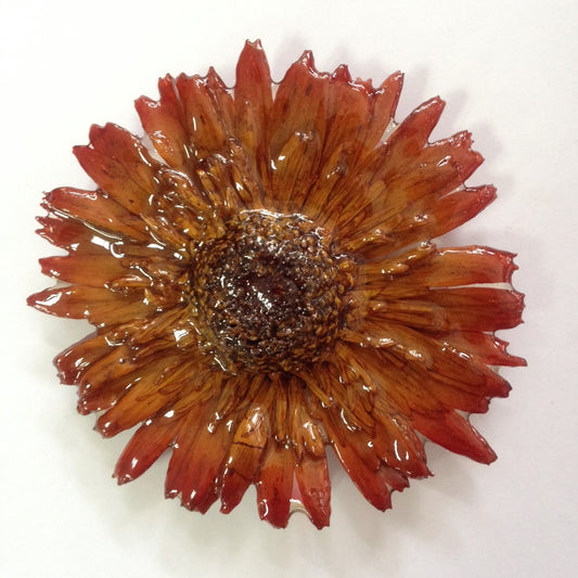 IN STOCK - Gerbera Flower Jewelry 2-in-1 pendant/brooch (Brown)