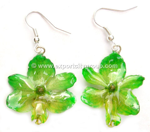 Rhynchorides (Bangkok Sunset) Orchid Jewelry Earring (Green)
